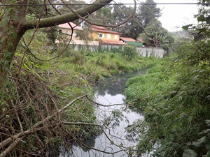 Rio Cotia totalmente poluído