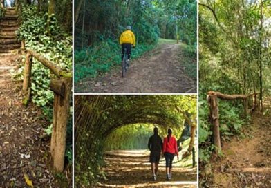 Parque Cemucam desmente boatos que circulam em redes sociais