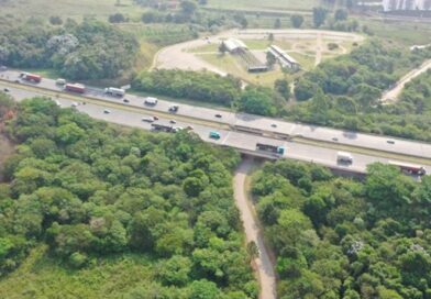 Melhorias e obras do Parque Jequitibá devem ser finalizadas em junho