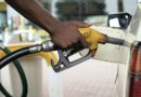 Gasolina sem etanol pode voltar aos postos brasileiros Gasolina sem etanol pode voltar aos postos brasileiros