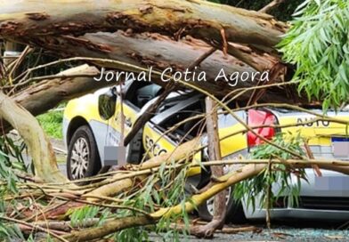 Árvore cai e atinge veículo de autoescola em Cotia