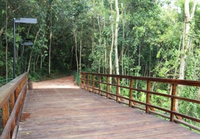 Parque Jequitibá, em Cotia, tem atividades para o Dia das Crianças Parque Jequitibá, em Cotia, tem atividades para o Dia das Crianças