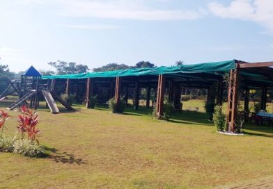 Parque Jequitibá, em Cotia, tem programação especial de férias Parque Jequitibá, em Cotia, tem programação especial de férias