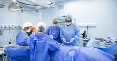 SP investe R$ 16 milhões em pesquisa de transplante de órgãos de animais para humanos SP investe R$ 16 milhões em pesquisa de transplante de órgãos de animais para humanos