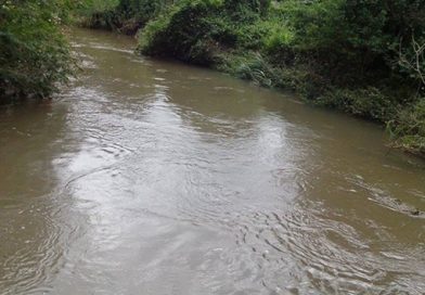 Rios de Cotia tem informações atualizadas em Bases Cartográficas