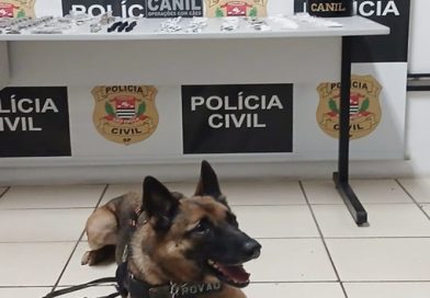 Traficante é preso com drogas após ação de cão da GCM de São Roque