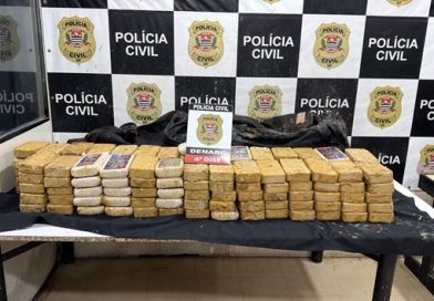 Cocaína camuflada com esterco e naftalina é apreendida em São Roque