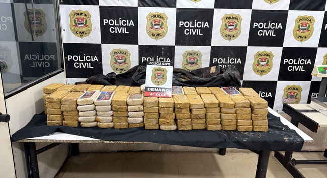 Cocaína camuflada com esterco e naftalina é apreendida em São Roque