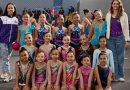 Ginástica de Cotia conquista medalhas no interior de SP Ginástica de Cotia conquista medalhas no interior de SP