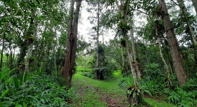 Cidades de SP agora tem plataforma digital para licenciamento ambiental