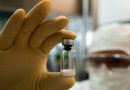 Anvisa autoriza produção nacional da vacina da chikungunya pelo Instituto Butantan