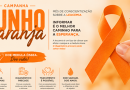Junho Laranja destaca prevenção e tratamento de doenças sanguíneas Junho Laranja destaca prevenção e tratamento de doenças sanguíneas