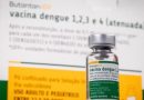 Ministério da Saúde suspende vacina da dengue do Butantan Ministério da Saúde suspende vacina da dengue do Butantan