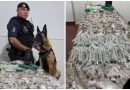 Mais de mil porções de drogas são apreendidas em Itapevi