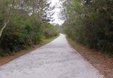Nova pista de caminhada e corrida do Parque Jequitibá já está aberta ao público Nova pista de caminhada e corrida do Parque Jequitibá já está aberta ao público