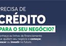 Precisa investir em seu negócio? Banco do Povo e Desenvolve SP tem crédito