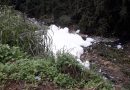 Espuma tóxica em ribeirão assusta e revolta moradores de Cotia