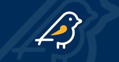 Eleições: App Pardal já está no ar. Saiba como denunciar campanha ilegal