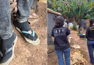 Trabalhadores viviam em barracos e em condições precárias em Cotia Trabalhadores viviam em barracos e em condições precárias em Cotia