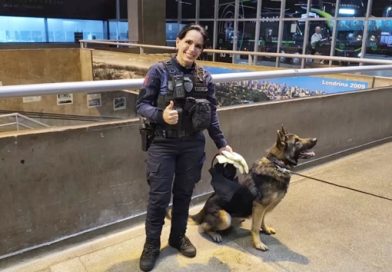 Cão flagra mulher que traria 2,1 kgs de drogas para Cotia