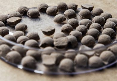 ETA de Vargem Grande transforma lodo de tratamento de água em fertilizante