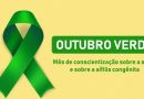 Outubro Verde alerta sobre os cuidados voltados à Sífilis Outubro Verde alerta sobre os cuidados voltados à Sífilis
